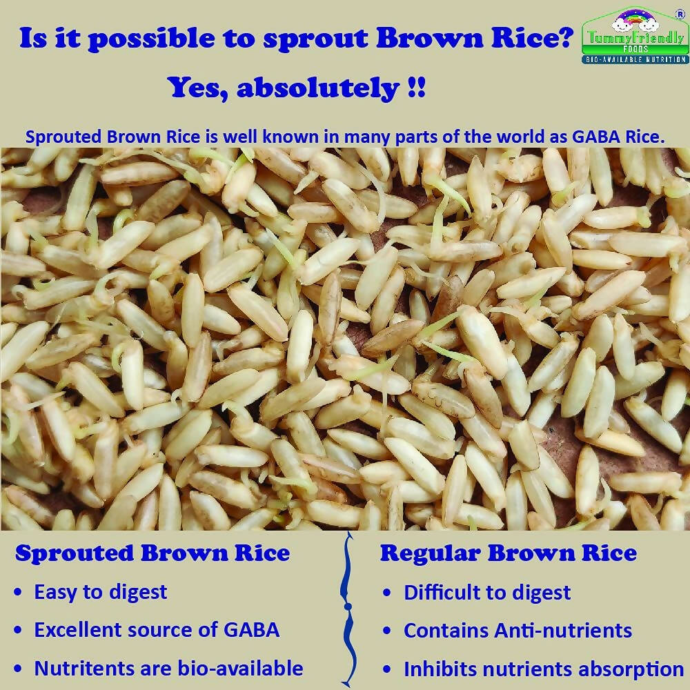 TummyFriendly Foods Certified Organic Sprouted Brown Rice, Red Lentil, Spinach, Green Peas Porridge Mix - Distacart