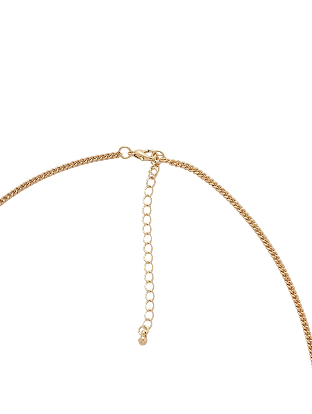 Gold-Polished Alloy Shell And Brass Leaf Statement Necklace - The Pari