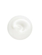 Shiseido Total Revitalizer Light Fluid
