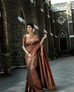 DEIANA'S Beautiful Designer Golden zari Soft Lichi Silk Saree - Brown