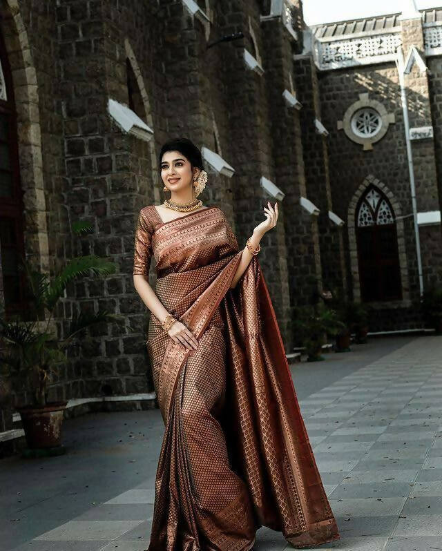 DEIANA'S Beautiful Designer Golden zari Soft Lichi Silk Saree - Brown