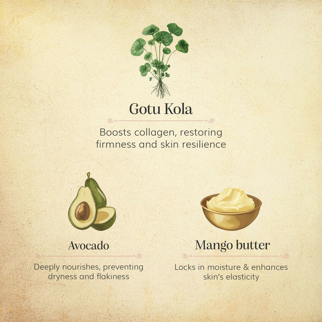 Chengavi Gotu kola & Avocado Day Cream