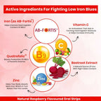 HealthAid Fe Max ThiSolves Oral Strips - Distacart